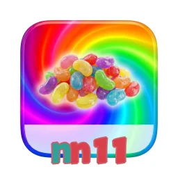 nn11